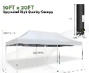 Untitled design (49).webp