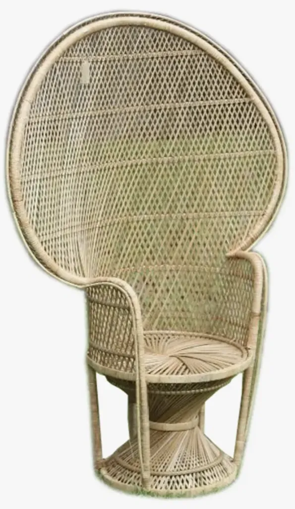 Peacock Brown Chair